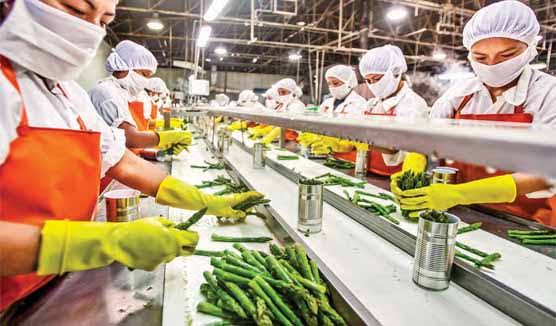 Workers In Packaged Food Industry